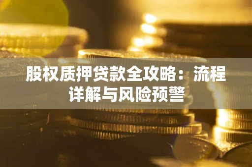 武汉股权质押贷款全攻略：流程详解与风险预警