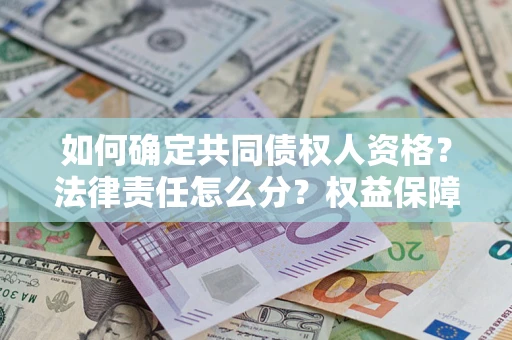 武汉如何确定共同债权人资格？法律责任怎么分？权益保障技巧揭秘！