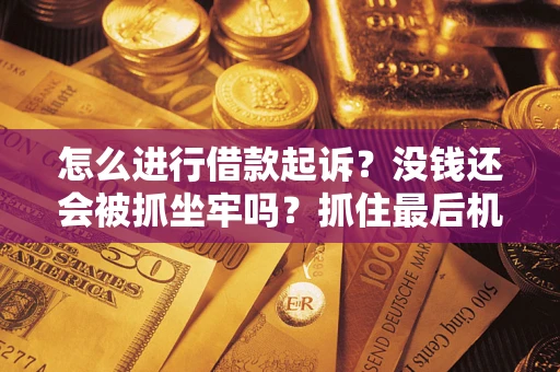 武汉怎么进行借款起诉？没钱还会被抓坐牢吗？抓住最后机会！