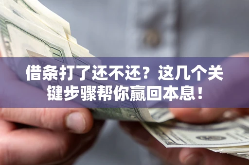 武汉借条打了还不还？这几个关键步骤帮你赢回本息！