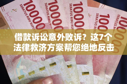 武汉借款诉讼意外败诉？这7个法律救济方案帮您绝地反击！