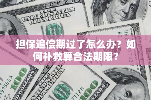 武汉担保追偿期过了怎么办？如何补救算合法期限？