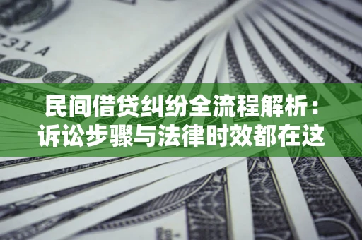 武汉民间借贷纠纷全流程解析：诉讼步骤与法律时效都在这儿了