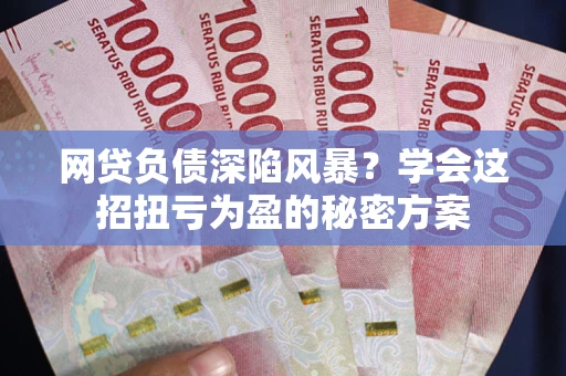 武汉网贷负债深陷风暴？学会这招扭亏为盈的秘密方案