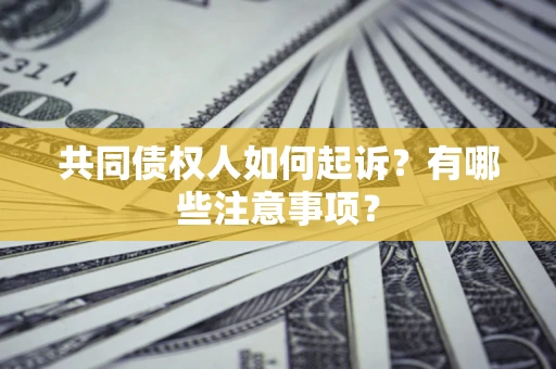 武汉共同债权人如何起诉？有哪些注意事项？